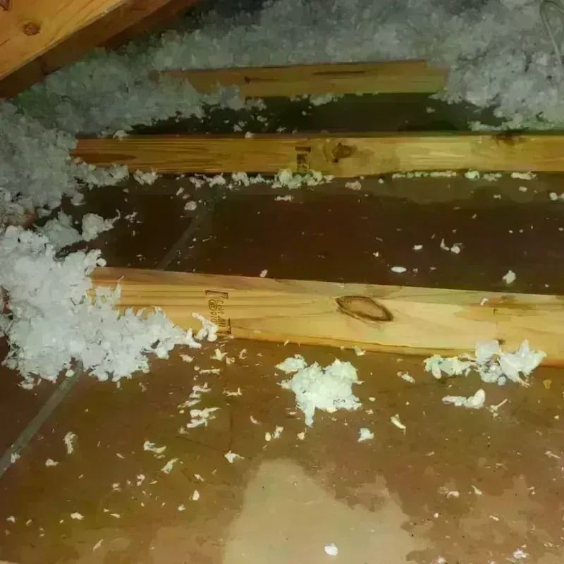 Attic Water Damage in Desert Hot Springs, CA