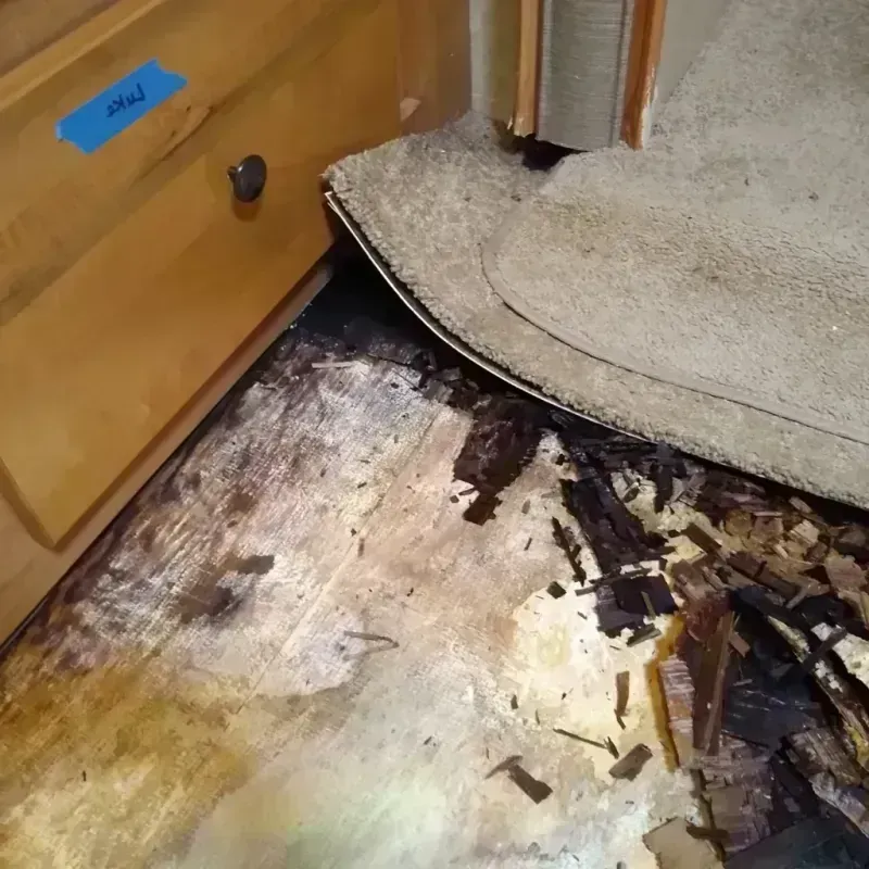 Best Wood Floor Water Damage Service in Desert Hot Springs, CA